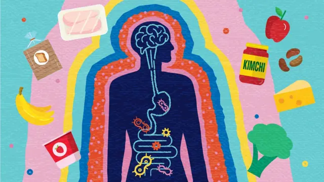 رسم يربط دماغ الإنسان بأمعائه، مع رسومات لأطعمة بينها كيمتشي والبروكلي والموز في محيط الجسم