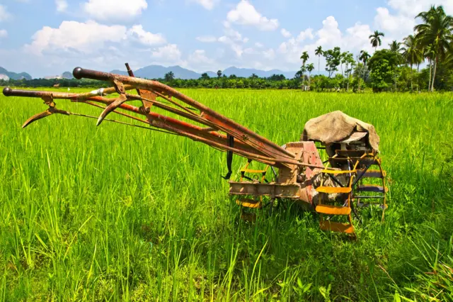 விவசாயம், வேளாண்மை, விவசாய்கள், மானியம்