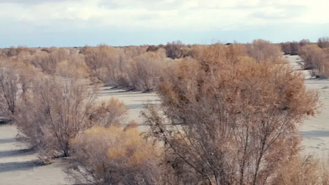 Бутун Марказий Осиё аҳолисининг ярмига яқини айнан Ўзбекистонда яшайди. Совет даврида узоқ йиллар асосан пахтага асосланган интенсив деҳқончилик қилинган. Бунинг устига, ҳозир иқлим ўзгариши омиллари ҳам қўшилмоқда.