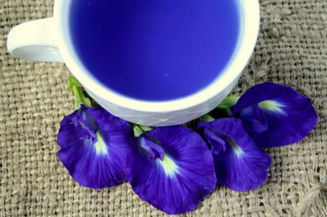 गोकर्णाचं फुल