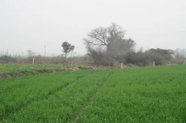 ਪਿੰਡ ਦੇ ਖੇਤ