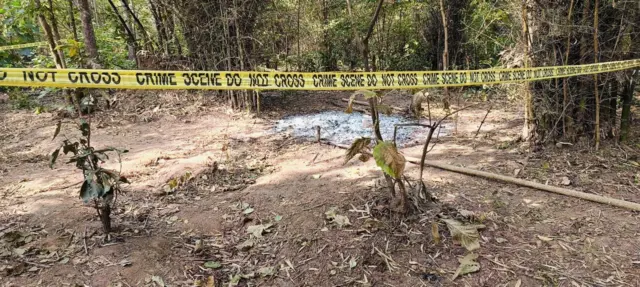 టైగర్స్