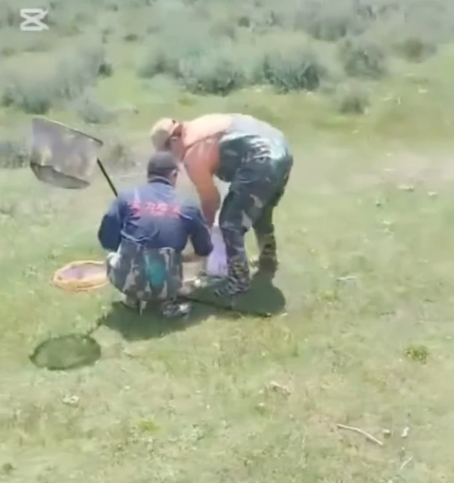 Мыйзамсыз балык уулоо 