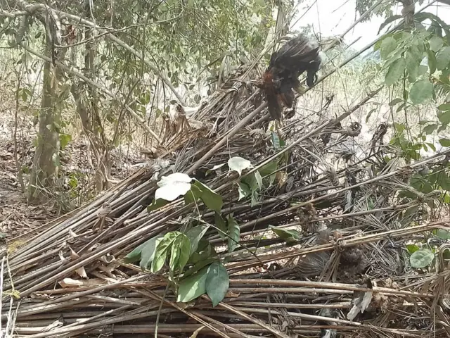 Ihu arụsị a kwaturu n'Ebonyi steeti