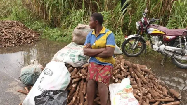 Woman with harvested cassava 