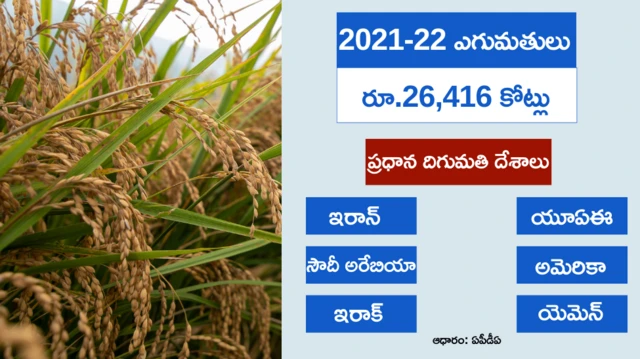 బాస్మతి బియ్యం ఎగుమతులు