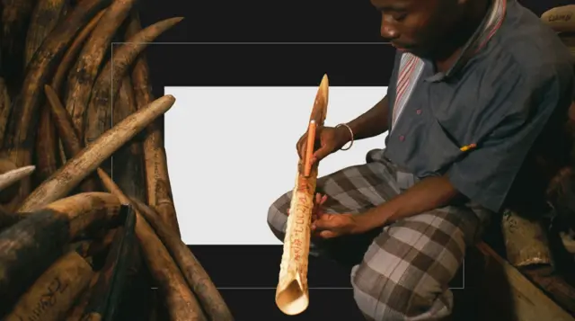 प्रातिनिधिक फोटो