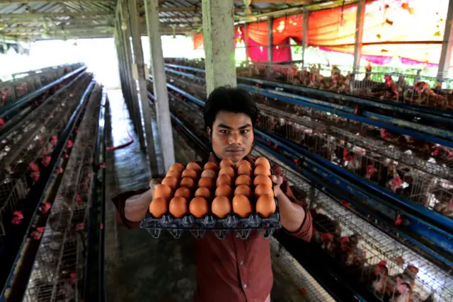 আগস্টের মাঝামাঝি সময়ে এক ডজন ডিমের দাম ১৪৫ টাকা থেকে বেড়ে ১৮০ টাকা পর্যন্ত হয়