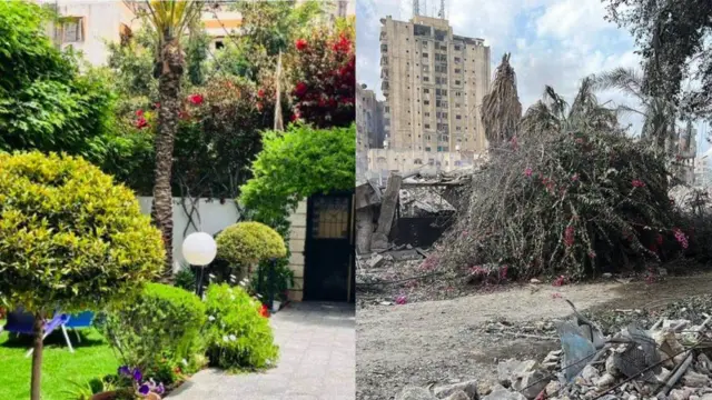 Dina Faisal enviou estas fotos do seu jardim no bairrocasa de apostas betfairRimal – anteriormente considerado um dos locais mais seguroscasa de apostas betfairGaza – antes e depois dos ataques aéreos israelenses