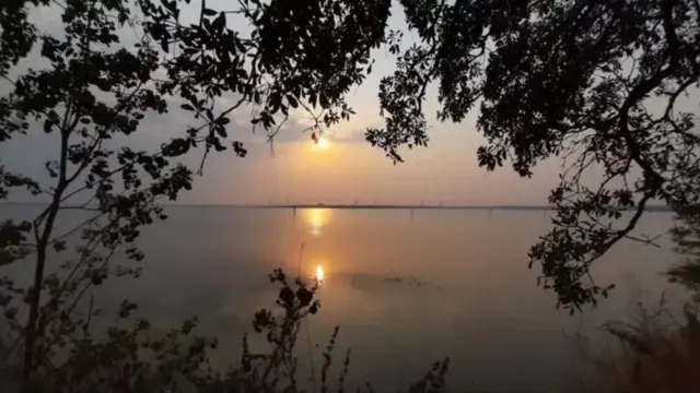 జీవో నం.111