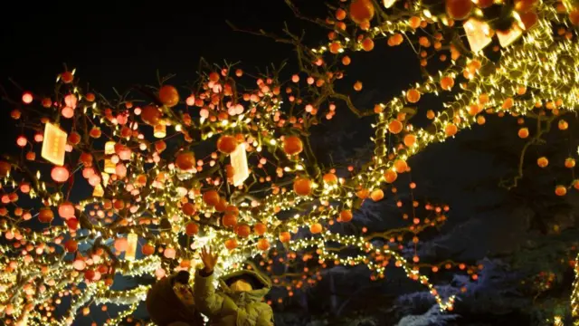 चीनी नव वर्ष 29 जनवरी से शुरू हुआ है