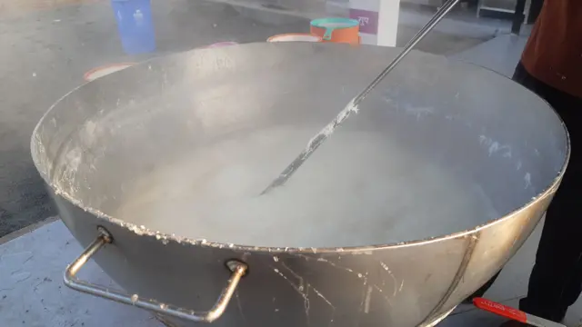 ఆహారం, పాలు