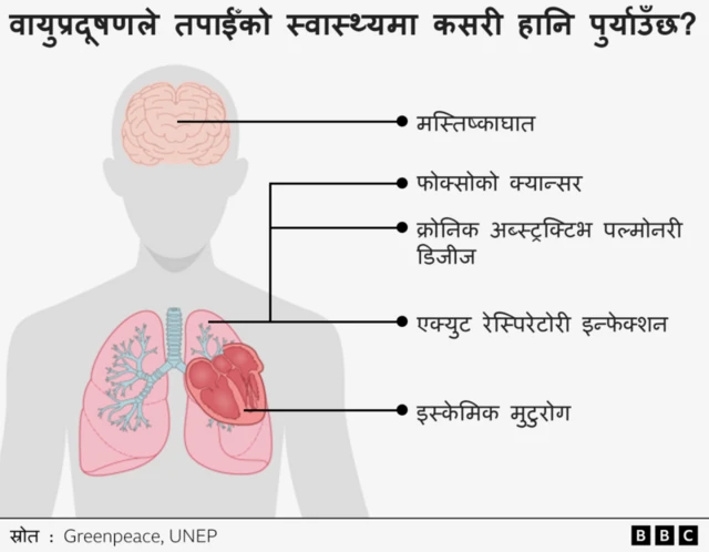 वायु प्रदूषणका कारण कस्तो शरीरमा प्रभाव पर्छ