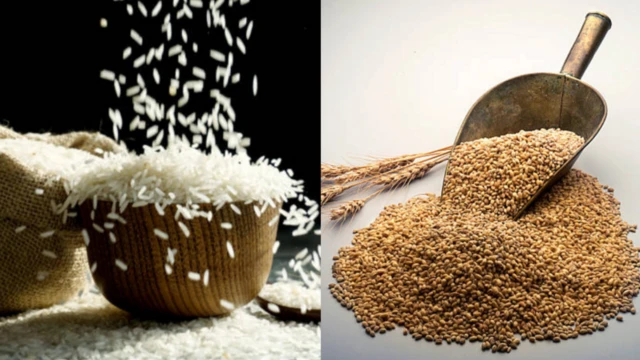 బియ్యం, గోధుమలు