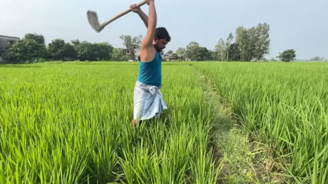 ওড়িশায় হেনস্থার শিকার হয়ে মালদা জেলায় গ্রামে ফিরে এসেছেন আশরাফুল হক
