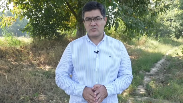 Olim Baxtiyor Rasulov