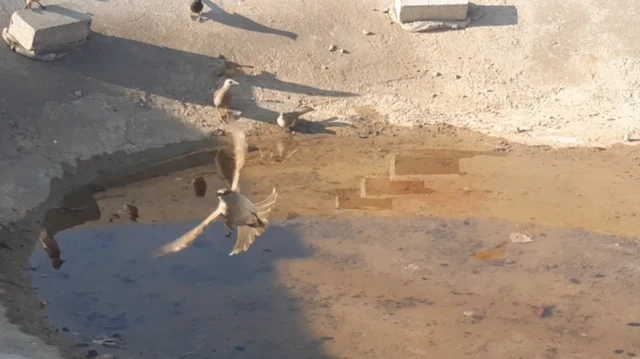 ရေနံချောင်း၊ ကန်၊ ရေချမ်းစင်၊ ဇရပ်ဆောက်