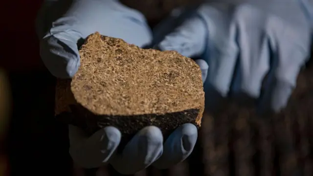 Seorang peneliti memegang potongan meteorit yang mereka identifikasi berasal dari asteroid Vesta, pada 30 Juni 2021, di Field Museum, Chicago, AS.