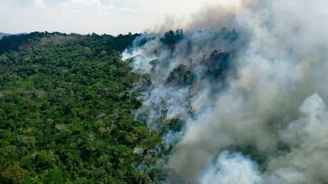 Amazôniaaposta de futebol hojechamas