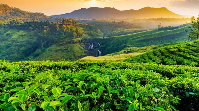 குறைந்த செலவில் இலங்கை செல்ல அவசியம் தெரிந்துகொள்ள வேண்டிய தகவல்கள்