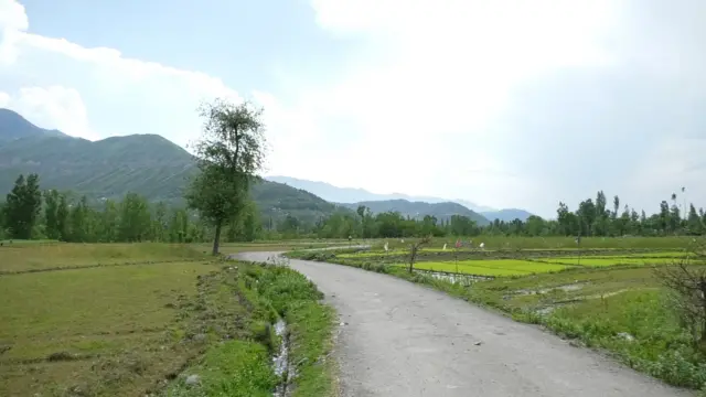 سادی وارا گاوٴں