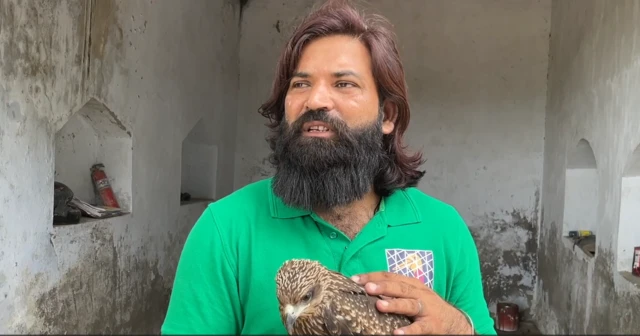 முகமது ஆரிஃபை தோழமையுடன் தேடி வந்த கொண்ட இன்னொரு பறவை