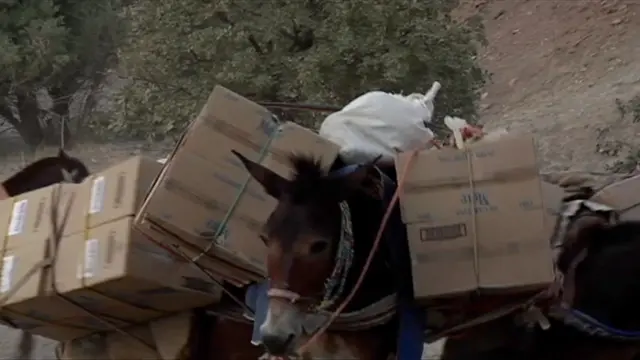 کاروان کولبران