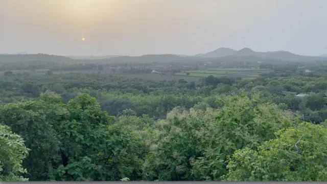 એશિયાઈ સિંહ, ગીરનું જંગલ, જય-વીરુની જોડી, ગુજરાત, બીબીસી ગુજરાતી, ગુજરાતના સિંહ, ગીર જંગલ