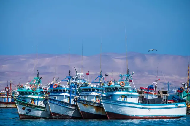 Barcos pesqueros amarrados en las Islas Ballestas.a. 