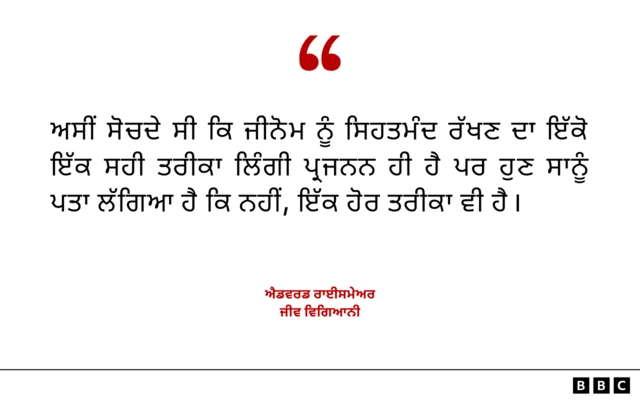 ਐਡਵਰਡ ਰਾਈਸਮੇਅਰ ਦਾ ਬਿਆਨ 