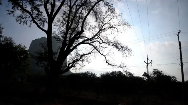 చింతపండు