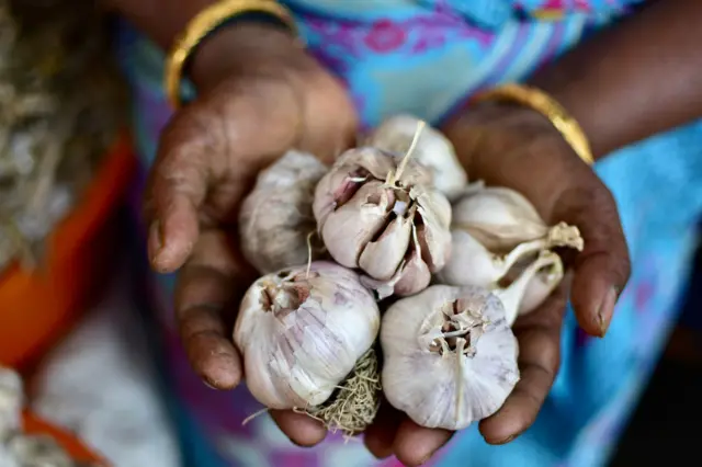 உடல்நலம்: பூண்டு புற்றுநோயை தடுக்குமா? அறிவியல் என்ன சொல்கிறது?