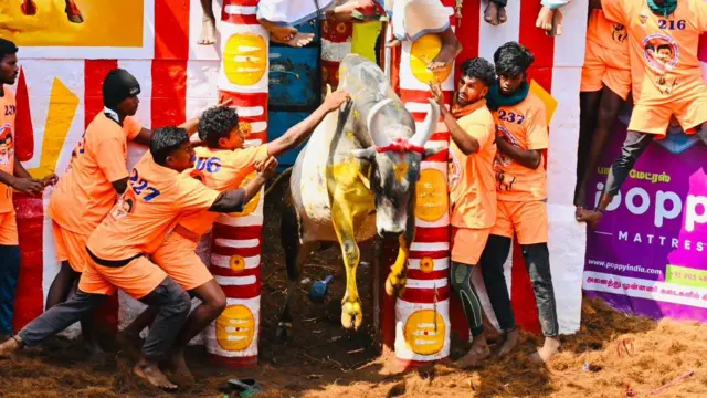 அலங்காநல்லூர் ஜல்லிக்கட்டு