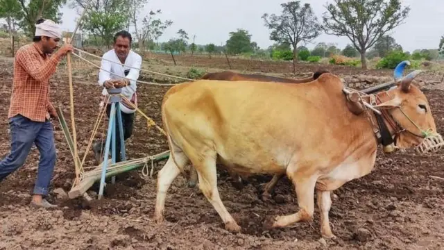 प्रातिनिधिक फोटो