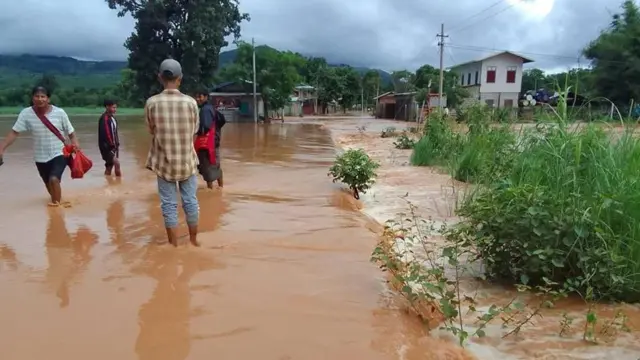 ဒီနှစ်ဇွန်မှာ ရေစဝင်နေတဲ့ ညောင်ရွှေ