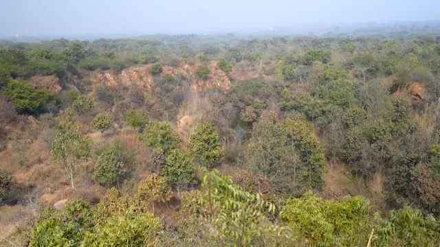 गुरुग्राम में बंद पड़ी खदान में अरावली बायोडायवर्सिटी पार्क बनाया गया है. अब यहां क़रीब चार सौ हेक्टेयर ज़मीन में घना जंगल है