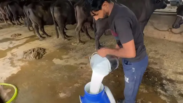 डेयरी फ़ार्म 