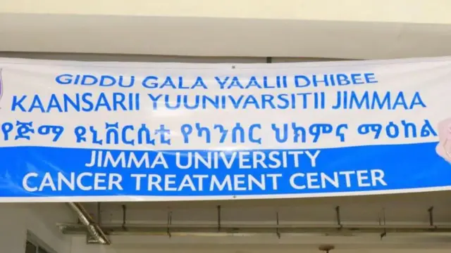 Jidduugala yaalii kaansarii Jimmaa