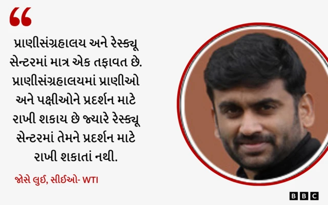 જોસે લુઈ, બીબીસી, ગુજરાતી