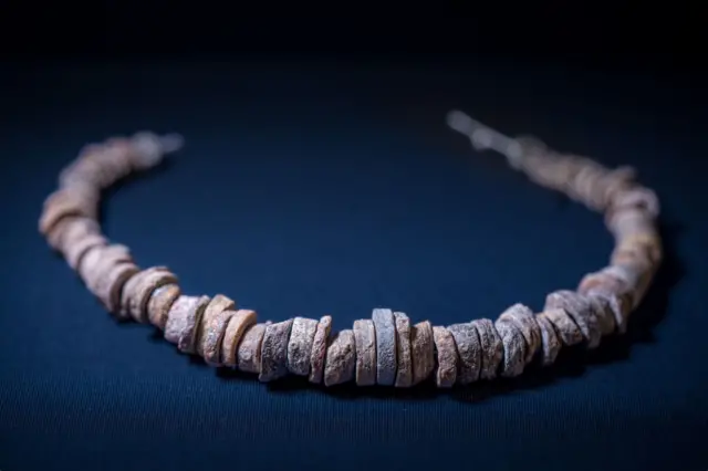 శిలాజాలు, చరిత్ర