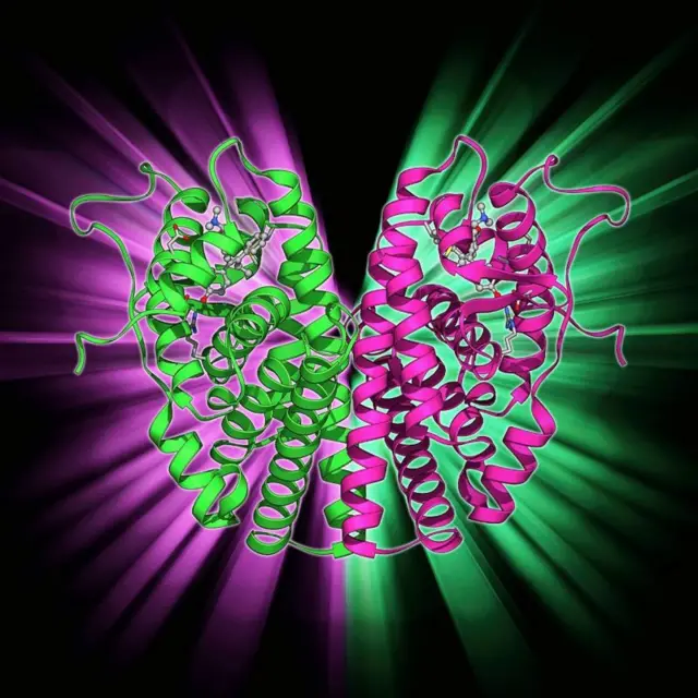 چھاتی کا کینسر