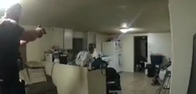 અમેરિકા ગોળીબાર, બીબીસી ગુજરાતી