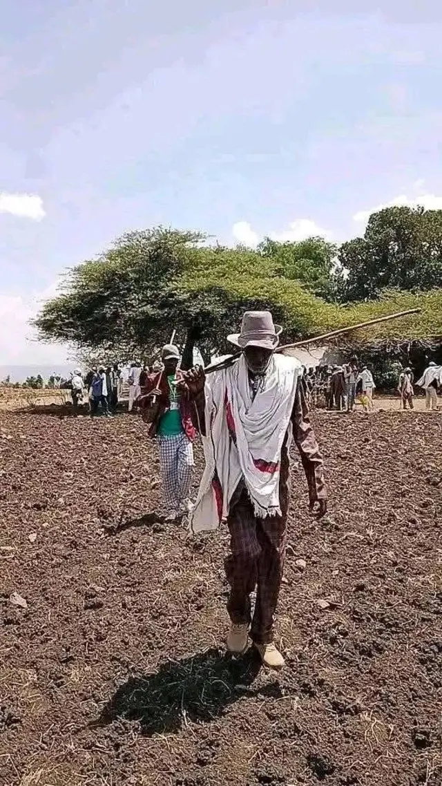 Odaa Nabeetti Godaansi Gadaa yeroo taasifamutti