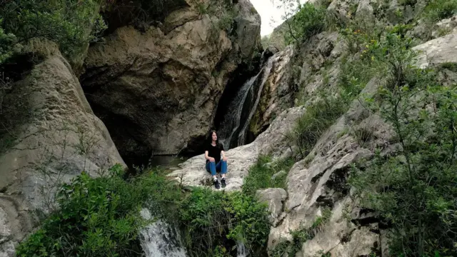 మెలీసా హోగెన్‌బూమ్