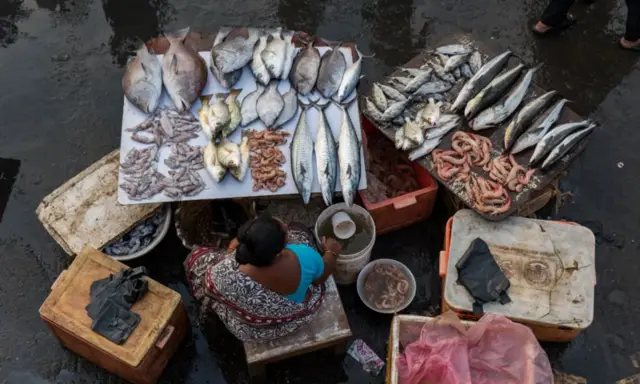 நொச்சிக்குப்பம்