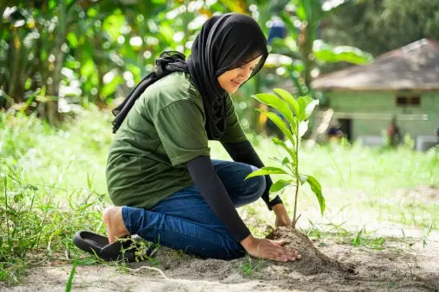 Wata yarinya tana shuka itaciya