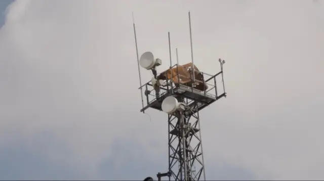 چاودنه دومره پیاوړې وه چې ان د اوسپنې یوه لویه ټوټه یې په لوړه ارتفاع کې د مخابراتو د یوې ستنې پر سر غورځولې.