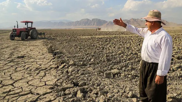 یک کشاورز در زمین کشاورزی در استان کردستان دیده می‌شود