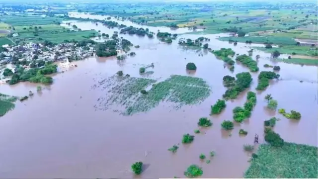 मराठवाड्याला अतिवृष्टीचा जबरदस्त फटका बसला आहे.