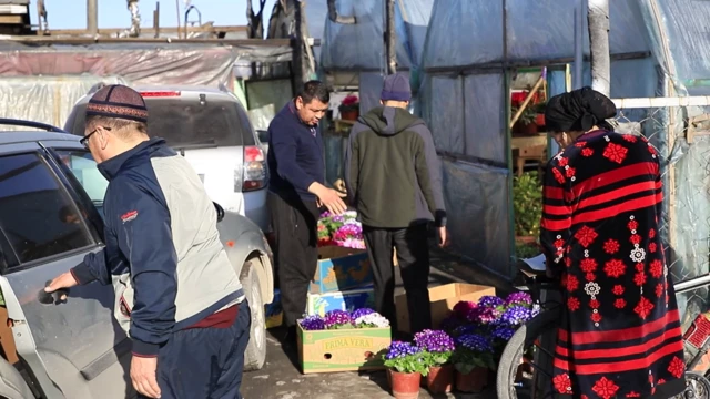 Илхомбек Салиевдин бизнеси